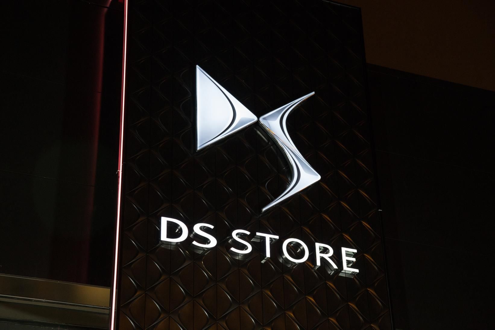 DS