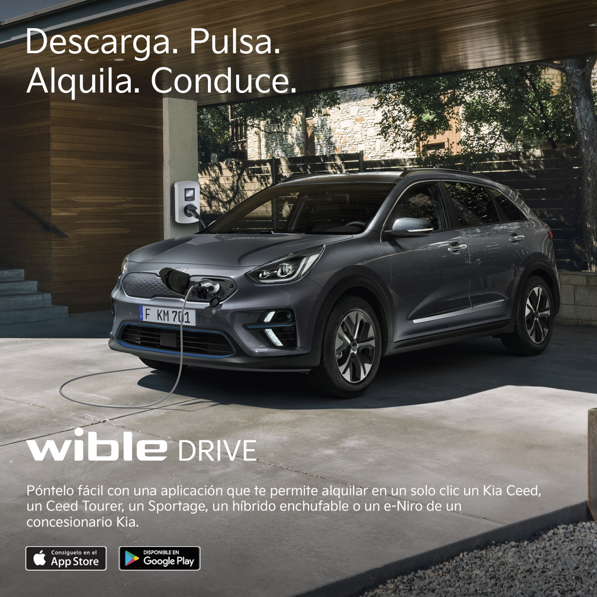 Wible DRIVE