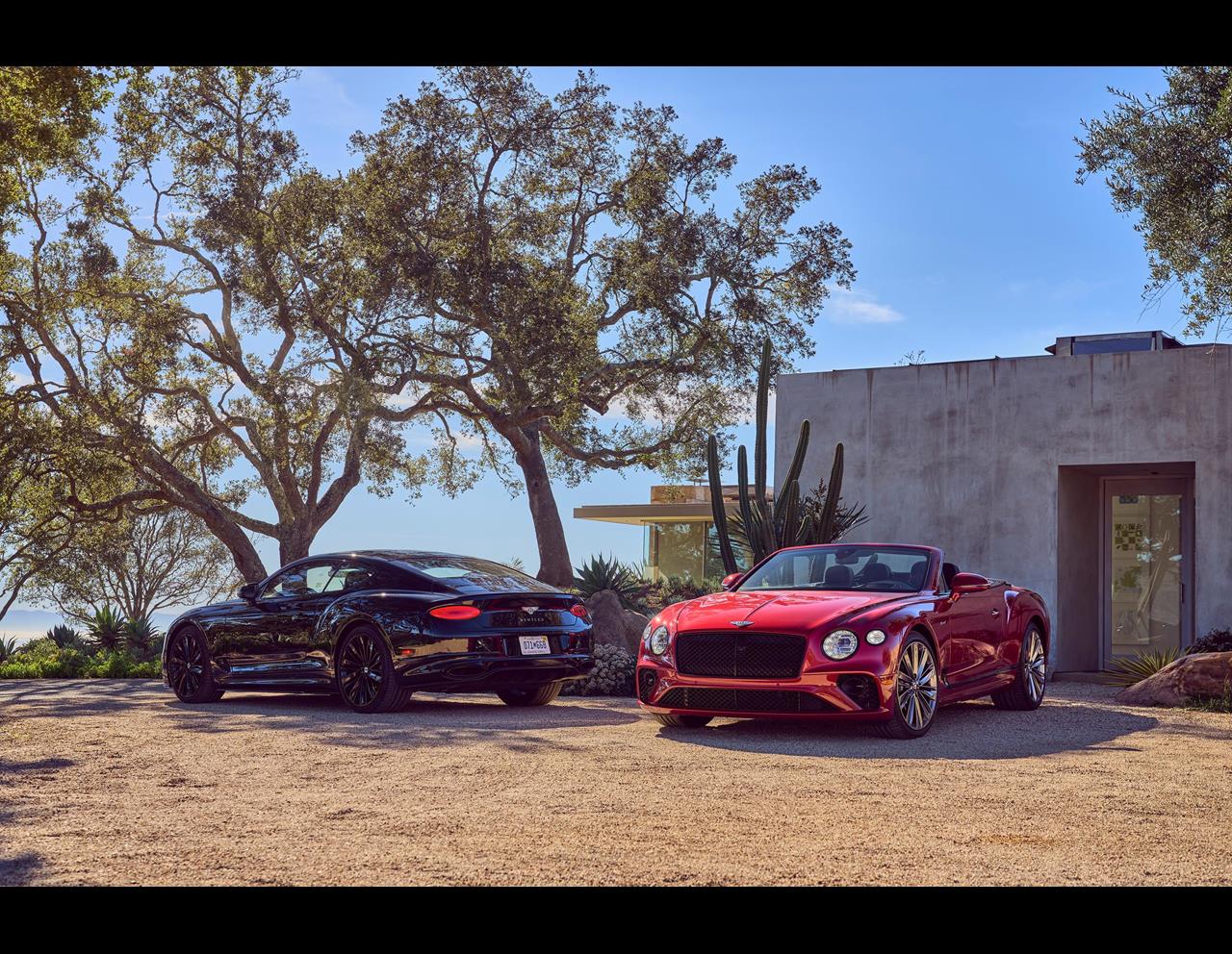 CONTINENTAL GT SPEED