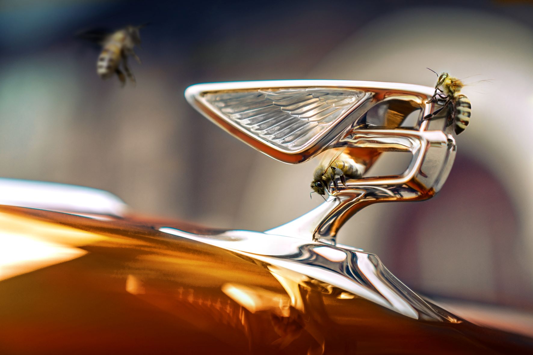 •	EXTRAORDINARY BENTLEY BEES REFLECT THE COMPANY’S OUTSTANDING SUCCESSES THIS YEAR WITH RECORD HONEY HARVEST OF AN ESTIMATED 1,000 JARS