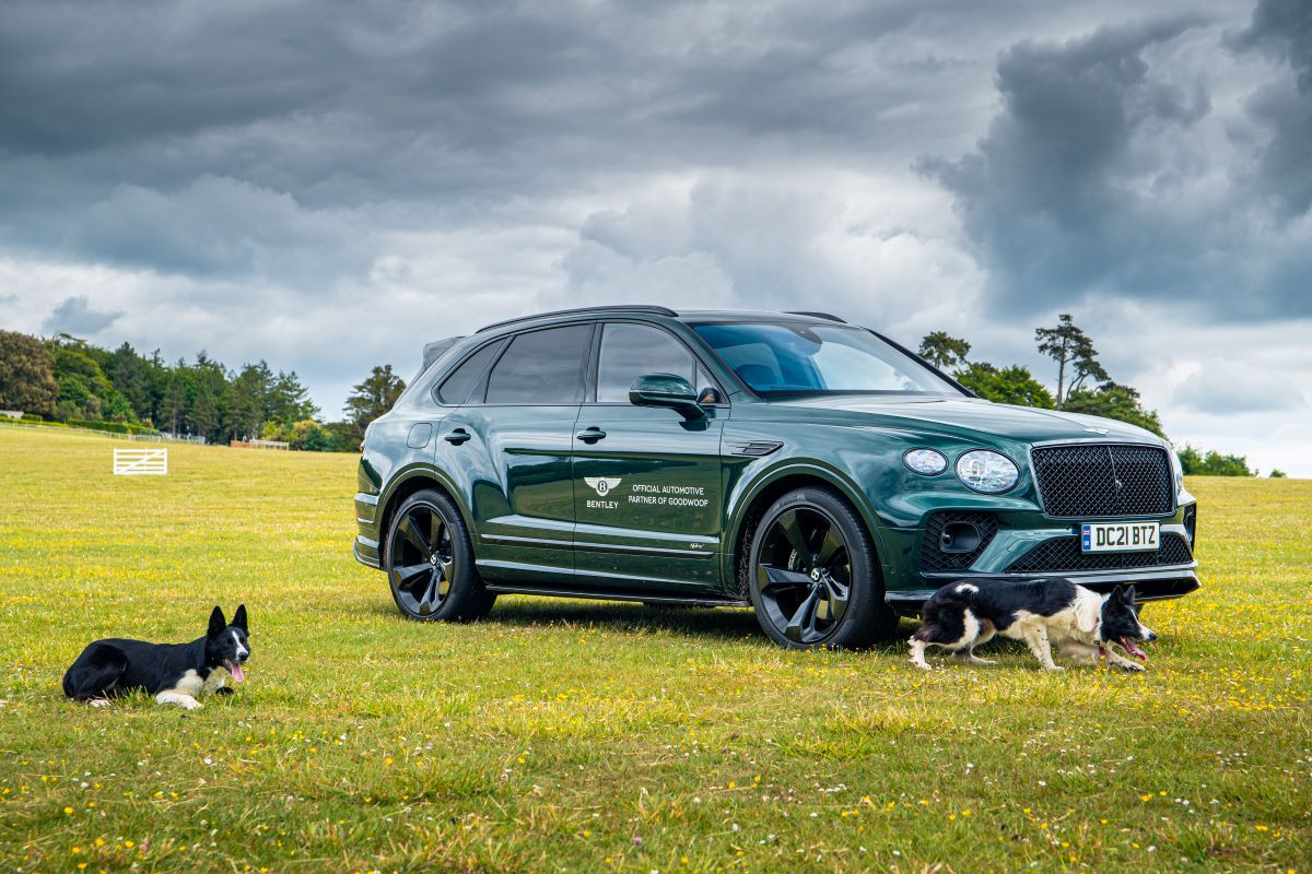 BENTLEY RAISES THE WOOF AT GOODWOOD’S FESTIVAL FOR DOGS