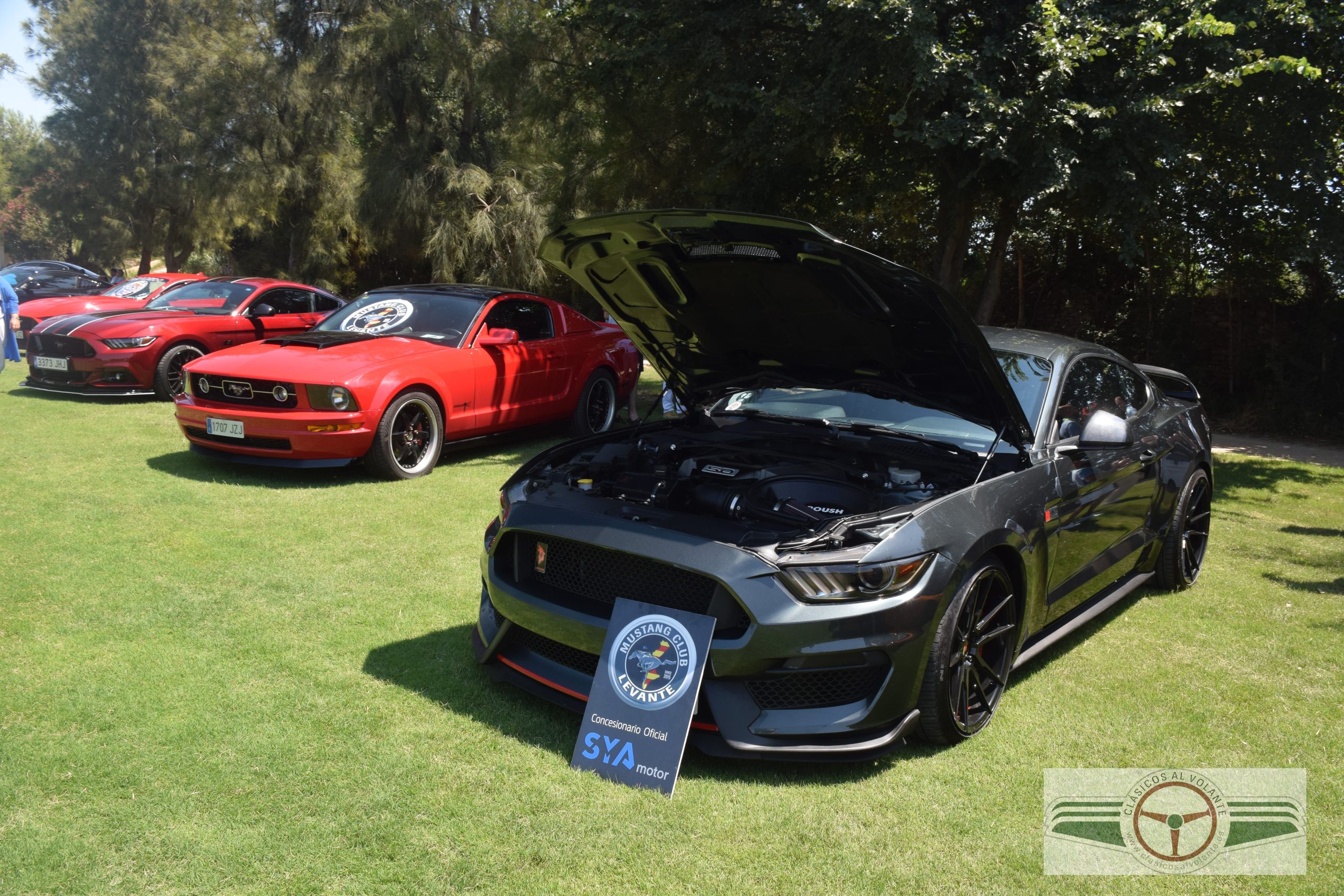 ENTRE LOS AMERICANOS DESTACÓ ESTE FORD MUSTANG GT 50 COYOTE