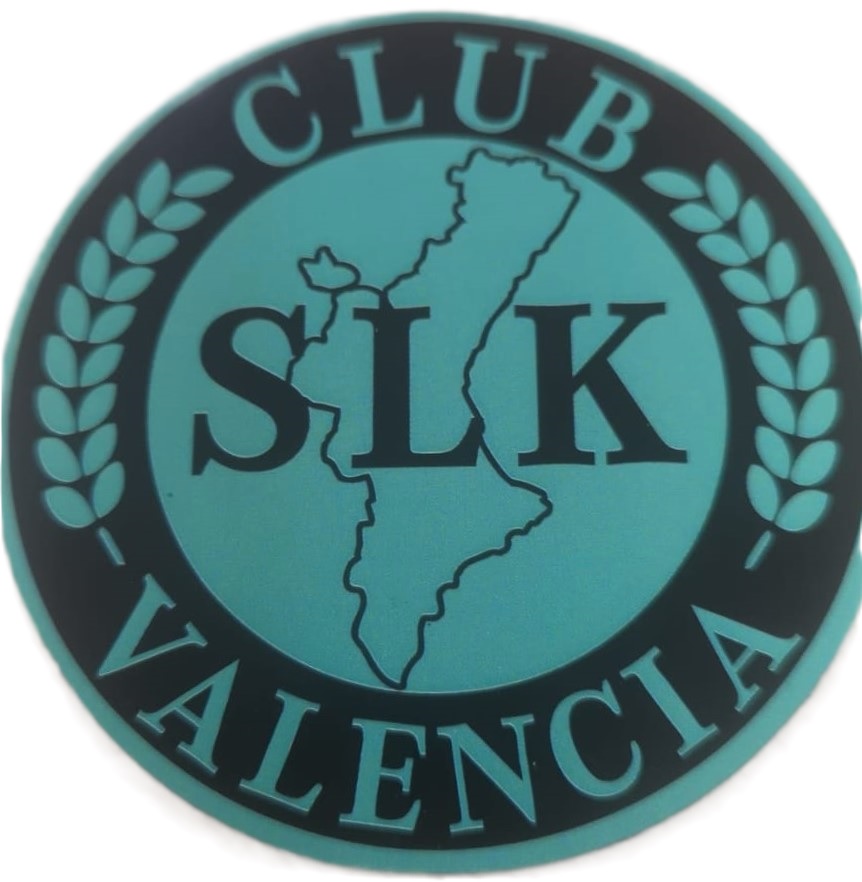 LOGOTIPO DEL CLUB SLK VALENCIA