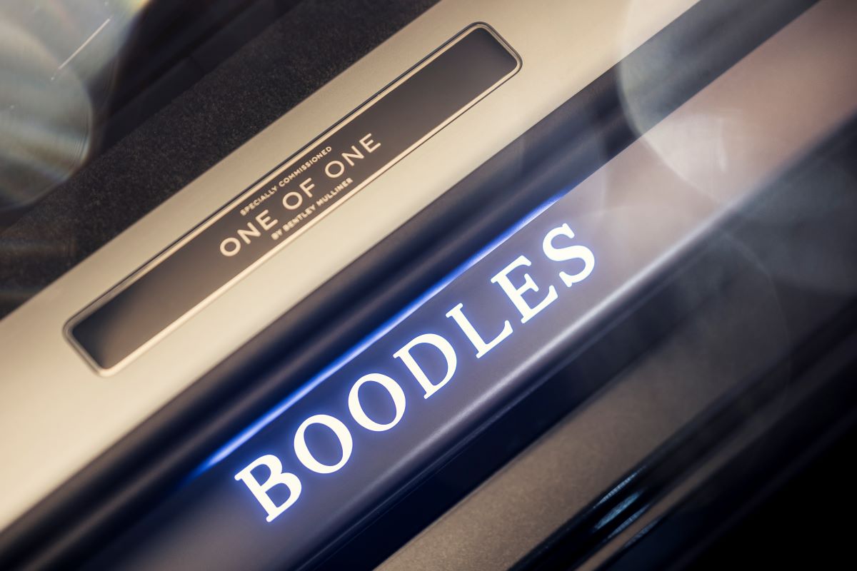 BOODLES EXTERIOR SILL PLATE AND EXTERIOR BADGING ON FENDER