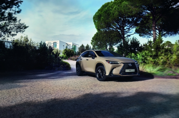 NUEVO LEXUS NX OVERTRAIL