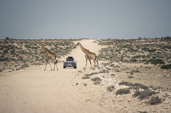 PORSCHE TRAVEL EXPERIENCE TIENE PROGRAMADA PARA SEPTIEMBRE DE 2024 CAMP 911 NAMIBIA, UNA RUTA POR EL PAÍS AFRICANO CON EL 911 DAKAR